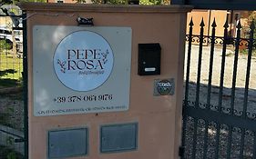 Pepe Rosa